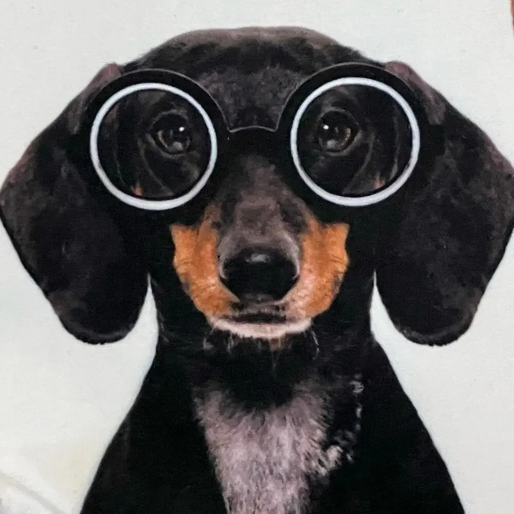 New Dog Cosmetic Bag Pouch with Funny Dogs Wearing Glasses